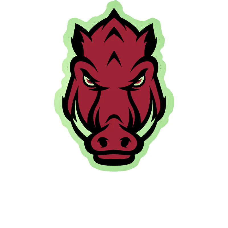Arkansas Razorbacks - Image 9 - Glow in the Dark Vinyl Decal - Custom Size