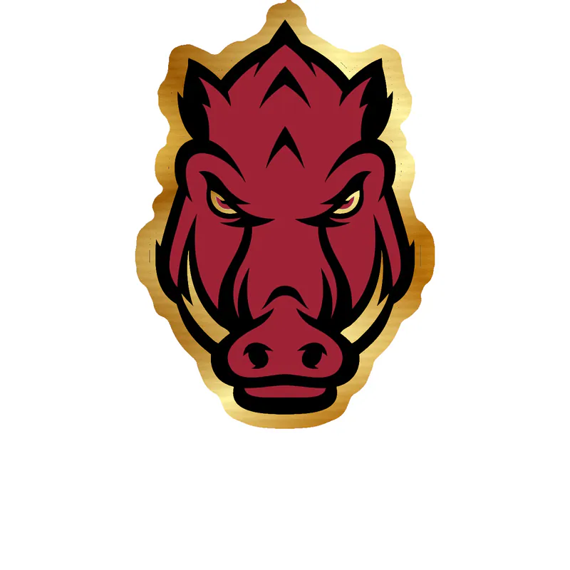 Arkansas Razorbacks - Image 9 - Gold Chrome Vinyl Decal - Custom Size