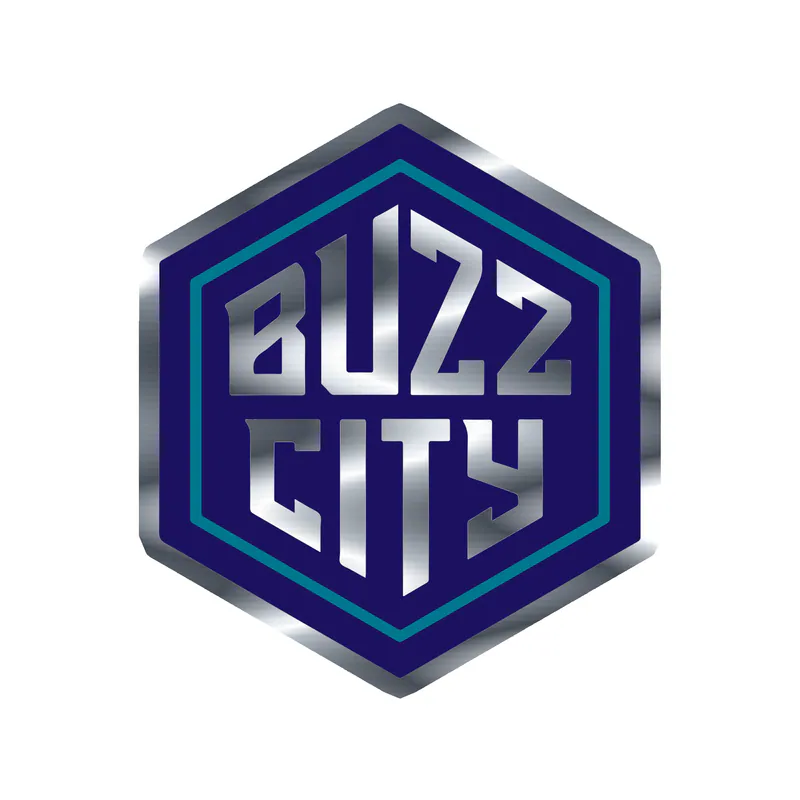 Charlotte hornets -Buzz City- Silver Chrome Vinyl Sticker - Custom Size