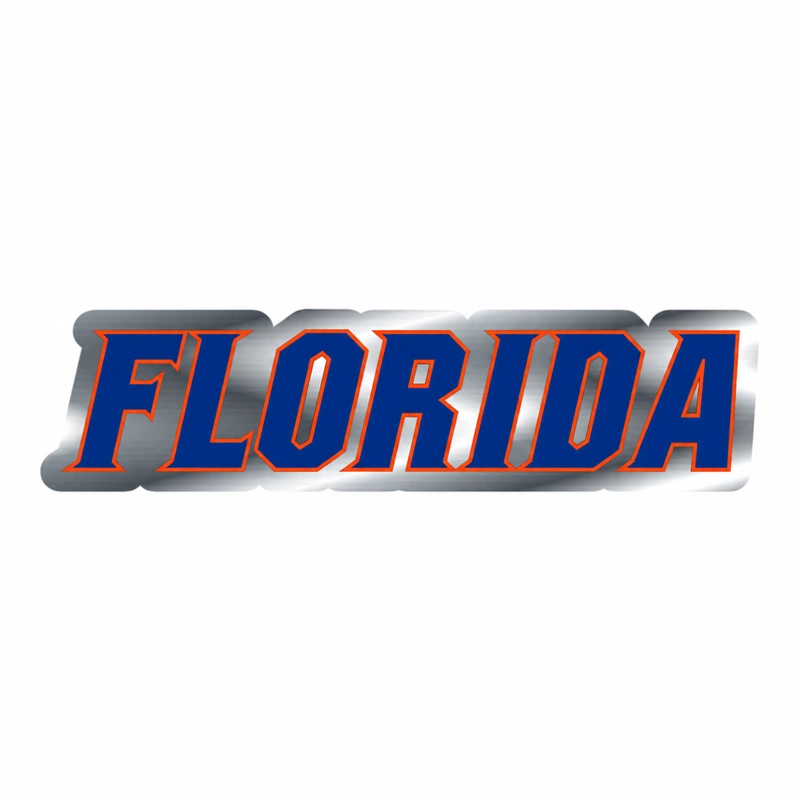 Florida Silver Chrome Vinyl Decal Custom size for Jason 36x171