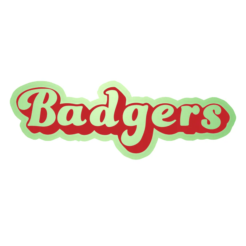 Wisconsin Badgers - Lettering - Glow in the Dark Vinyl Decal - Custom Size