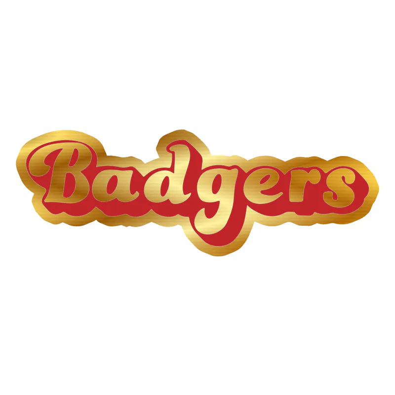 Wisconsin Badgers - Lettering - Gold Chrome Vinyl Decal - Custom Size