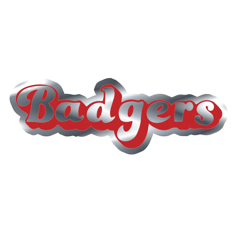 Wisconsin Badgers - Lettering - Silver Chrome Vinyl Decal - Custom Size