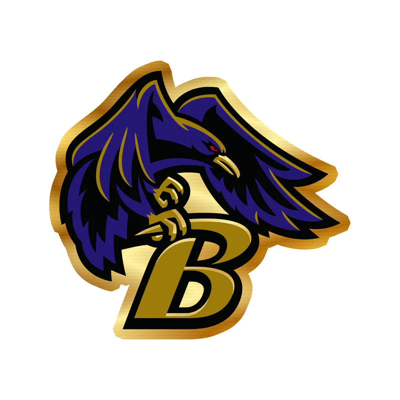 Baltimore Ravens - Image 4 - Gold Chrome Vinyl Sticker - Custom Size