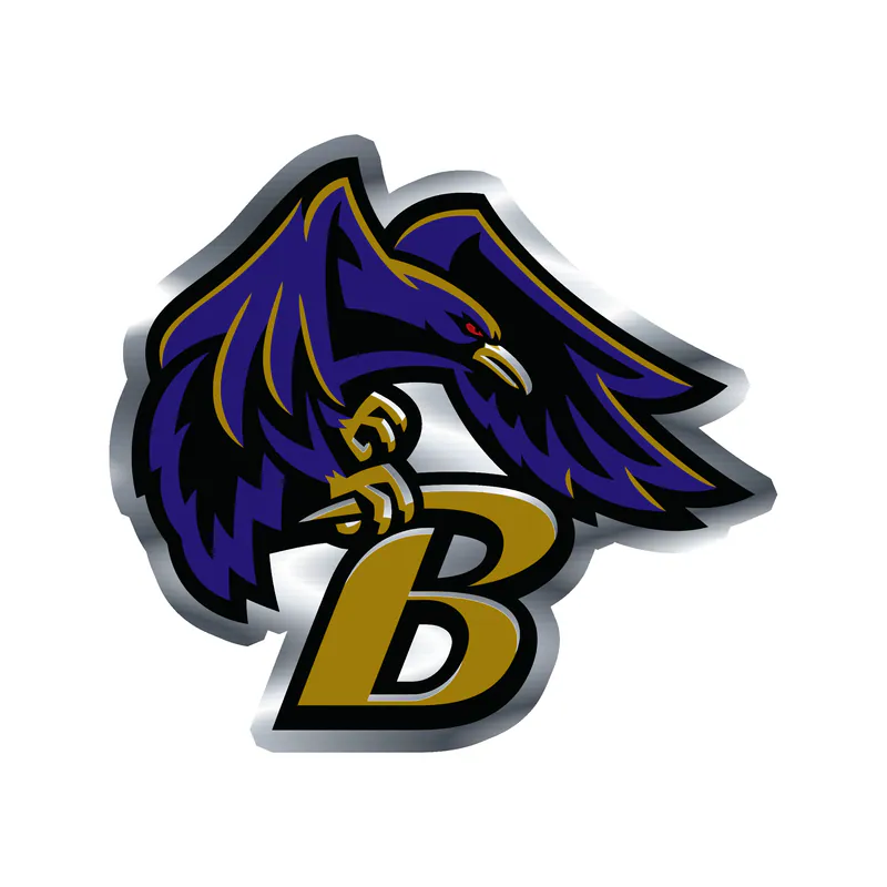 Baltimore Ravens - Image 4 - Silver Chrome Vinyl Sticker - Custom Size