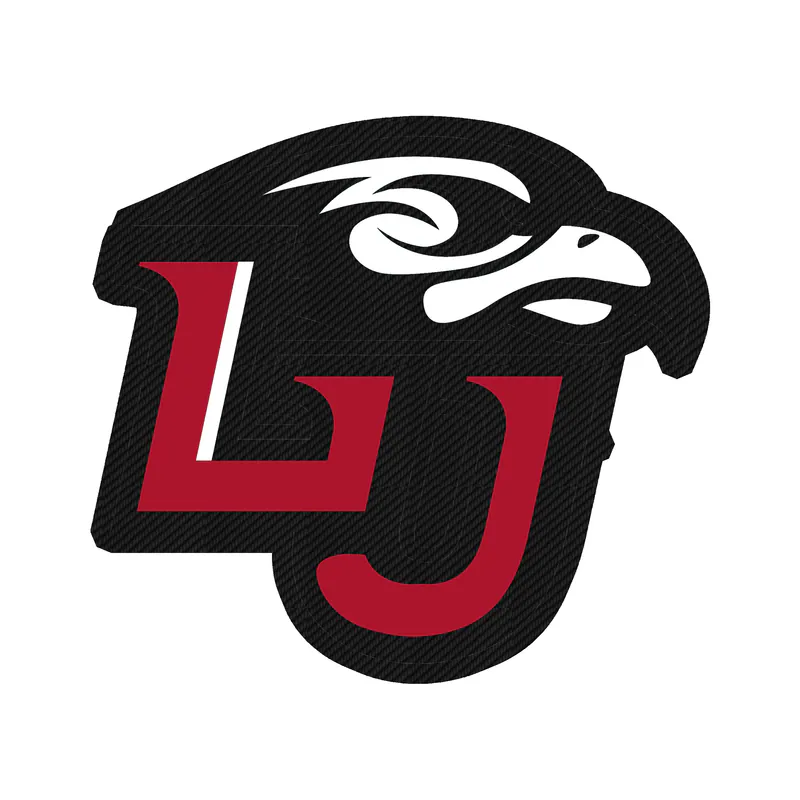 Liberty Flames - LU - Carbon Fiber Vinyl Decal - Custom Size