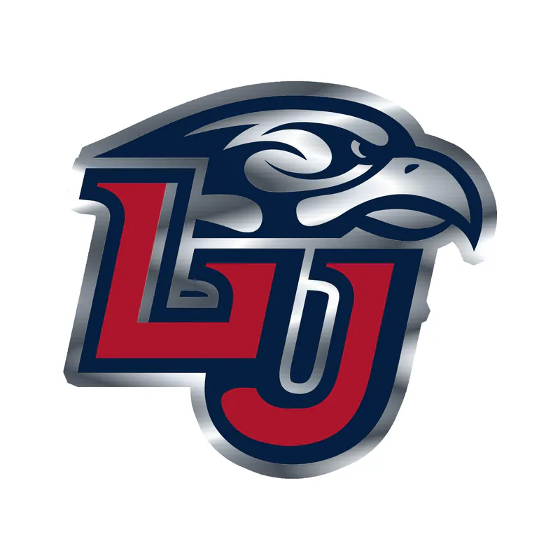 Liberty Flames - LU - Silver Chrome Vinyl Decal - Custom Size