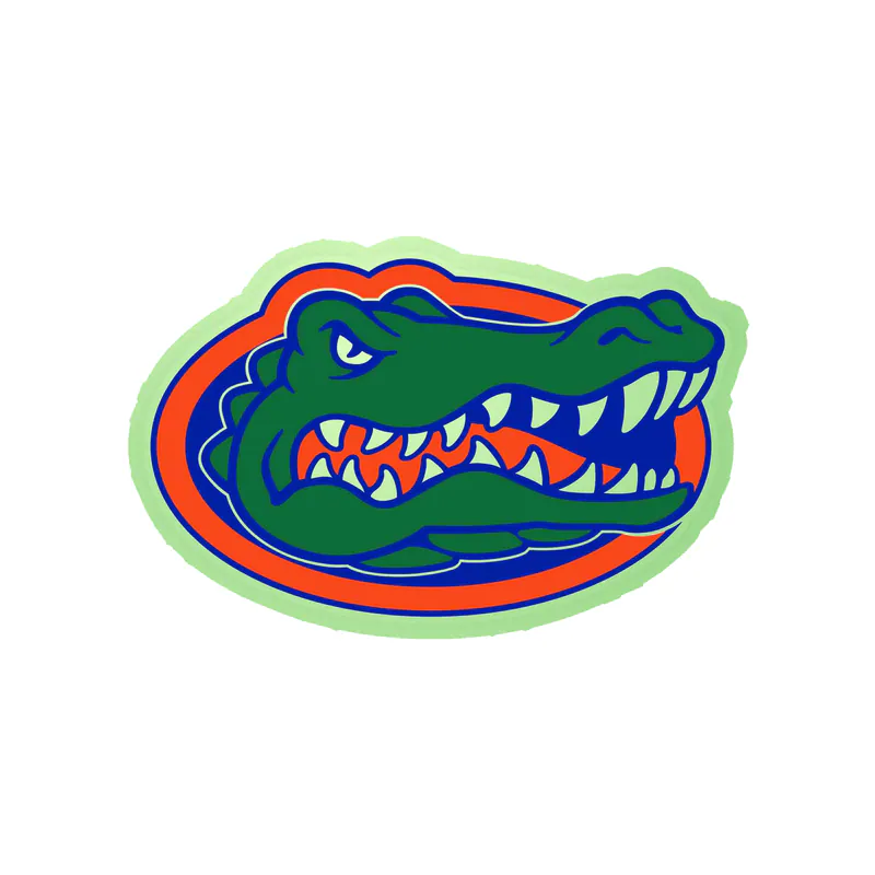Florida Gators - Image 10 - Glow in the Dark Vinyl Decal - Custom Size