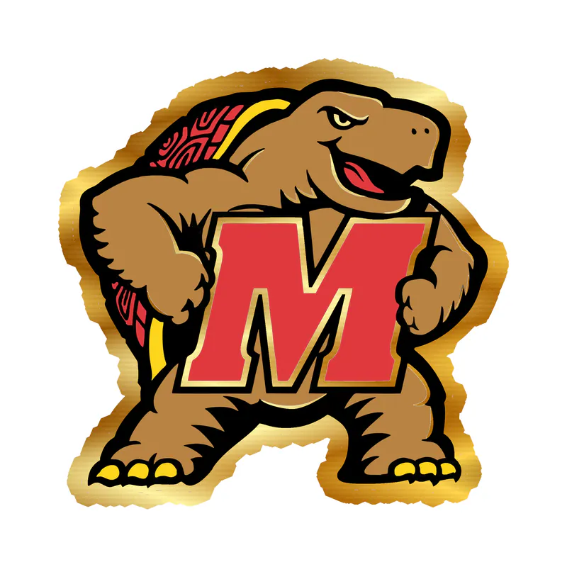 Maryland Terrapins - M with Terrapin - Gold Chrome Vinyl Decal - Custom Size