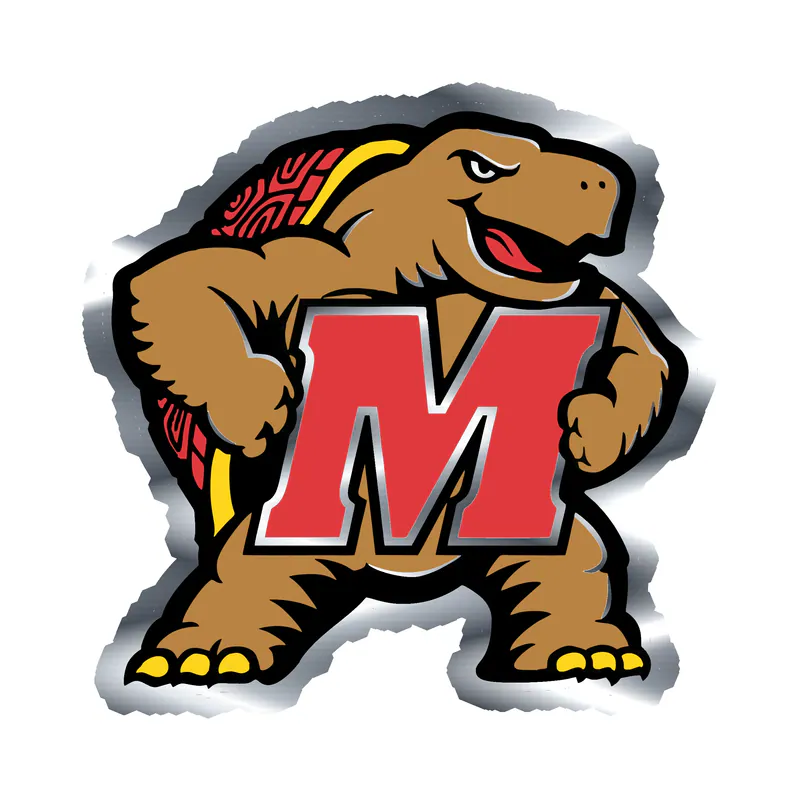 Maryland Terrapins - M with Terrapin - Silver Chrome Vinyl Decal - Custom Size