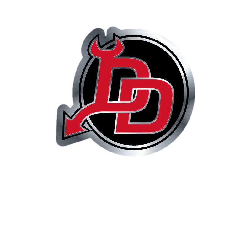 New Jersey Devils - Black Circle With 2 D - Silver Chrome Vinyl Sticker - Custom Size