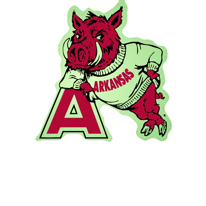 Arkansas Razorbacks - Image 20 - Glow in the Dark Vinyl Decal - Custom Size