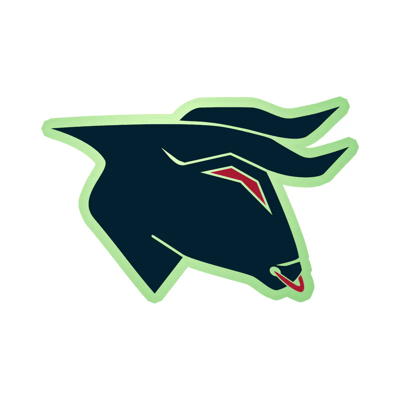 Houston Texans - Bull Head - Glow in the Dark Vinyl Sticker - Custom Size