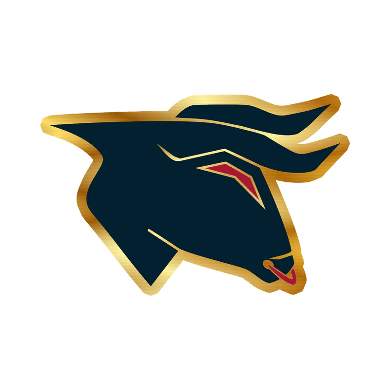 Houston Texans - Bull Head - Gold Chrome Vinyl Sticker - Custom Size