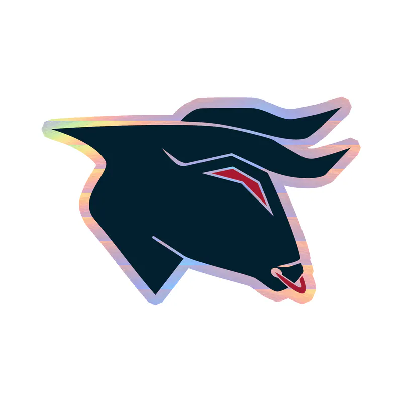 Houston Texans - Bull Head - Holographic Vinyl Sticker - Custom Size