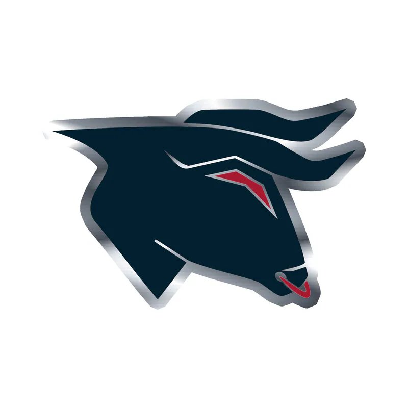 Houston Texans - Bull Head - Silver Chrome Vinyl Sticker - Custom Size