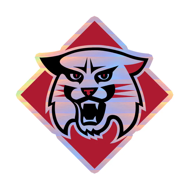 Davidson Wildcats Holographic Vinyl Decal - Custom Size