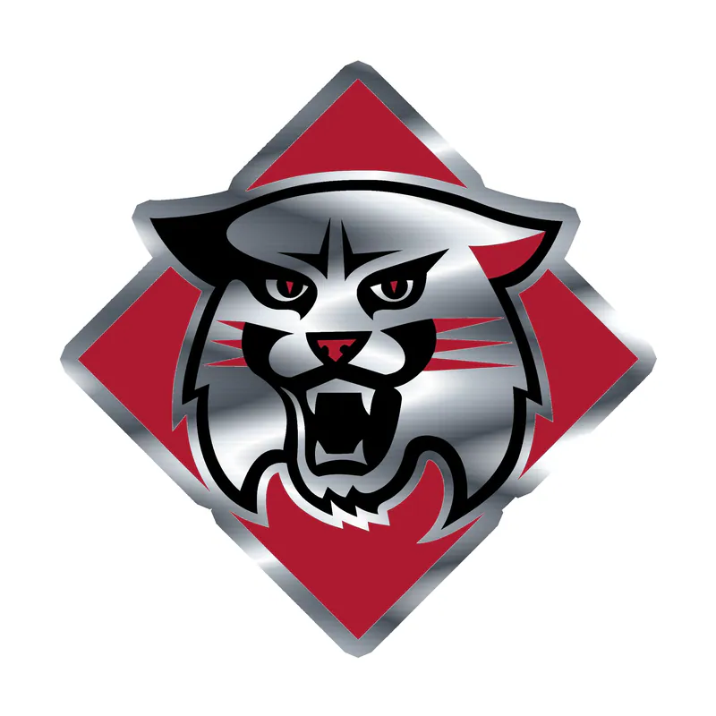 Davidson Wildcats Silver Chrome Vinyl Decal - Custom Size