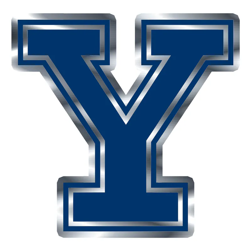 Yale - Y - Silver Chrome Vinyl Sticker - Custom Size