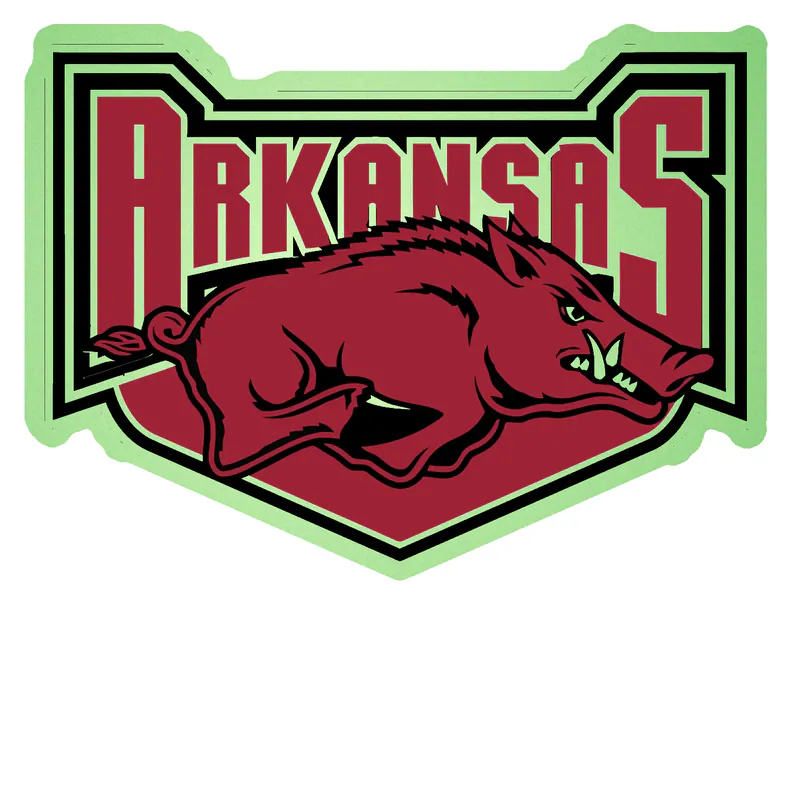 Arkansas Razorbacks - Image 16 - Glow in the Dark Vinyl Decal - Custom Size