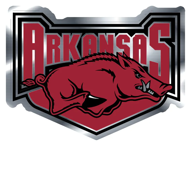Arkansas Razorbacks - Image 16 - Silver Chrome Vinyl Decal - Custom Size