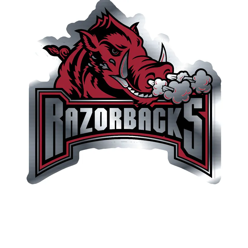 Arkansas Razorbacks - Image 14 - Silver Chrome Vinyl Decal - Custom Size