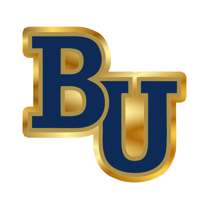 Bethel University - BU - Gold Chrome Vinyl Decal - Custom Size