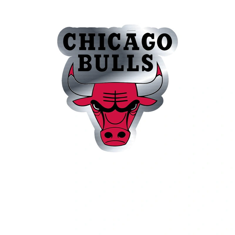Chicago Bulls - Bull Head With Name - Silver Chrome Vinyl Sticker - Custom Size