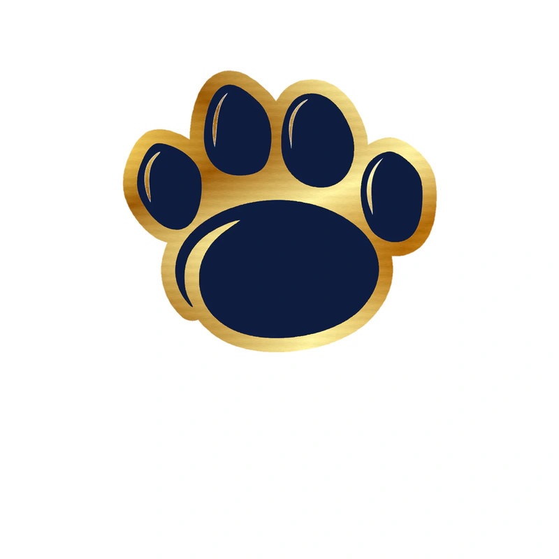 Penn State Nittany Lion Paw - Gold Chrome Vinyl Decal - Custom Size