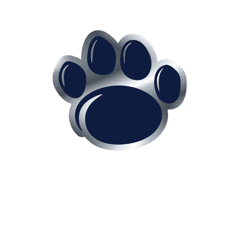 Penn State Nittany Lion Paw - Silver Chrome Vinyl Decal - Custom Size