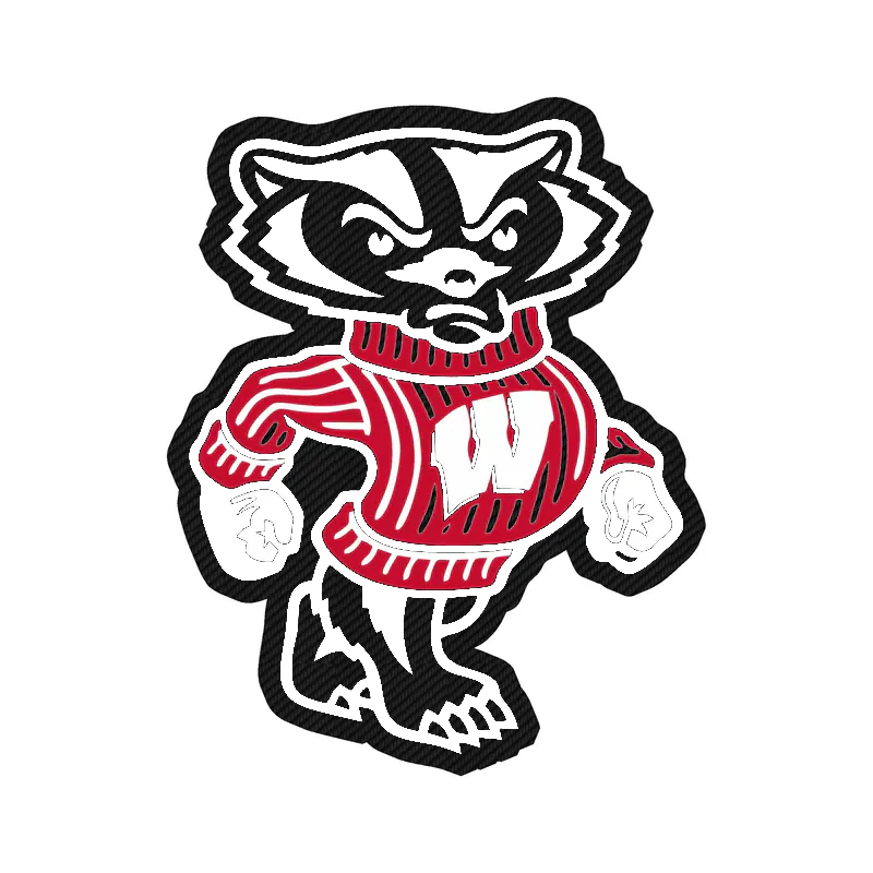 Wisconsin Badgers - Badgers - Carbon Fiber Vinyl Decal - Custom Size