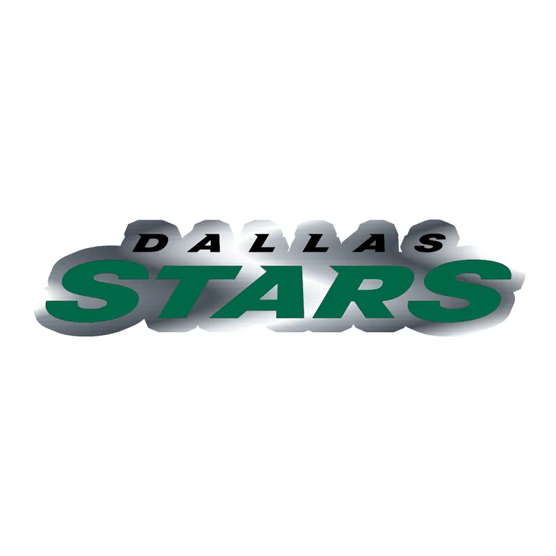 Dallas Stars  - Name - Silver Chrome Vinyl Sticker - Custom Size