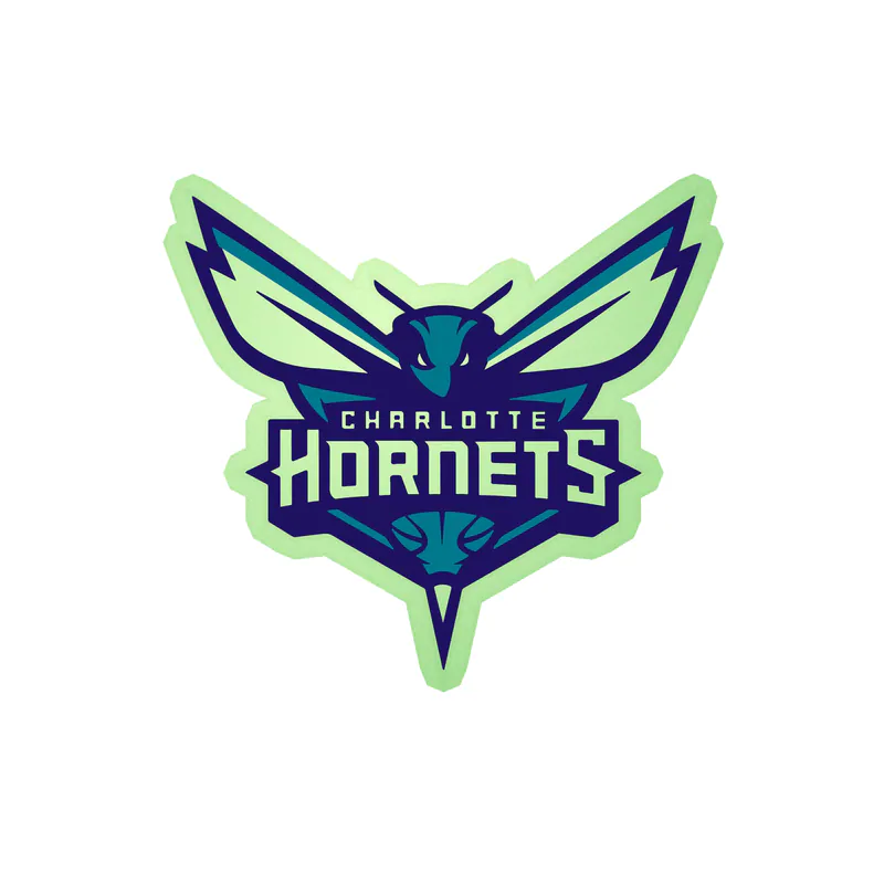 Charlotte hornets - Hornet with Name - Glow in the Dark Vinyl Sticker - Custom Size