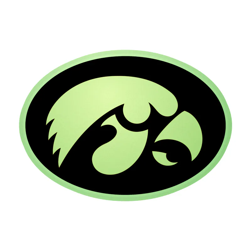 Iowa Hawkeyes - Yellow Hawk Head - Image 1 - Glow in the Dark Vinyl Decal - Custom Size