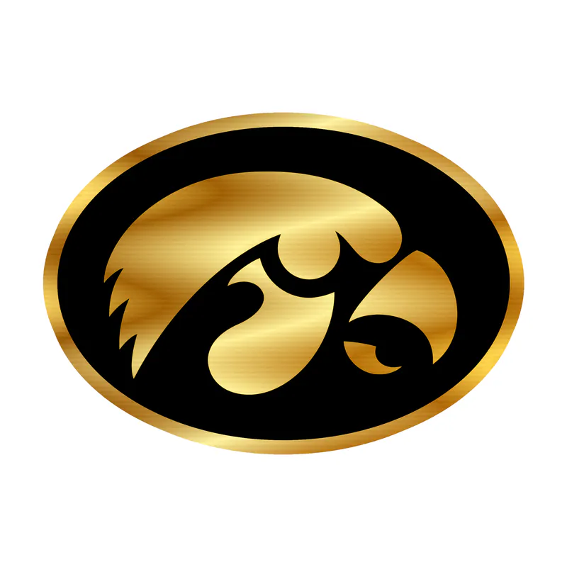 Iowa Hawkeyes - Yellow Hawk Head - Image 1 - Gold Chrome Vinyl Decal - Custom Size