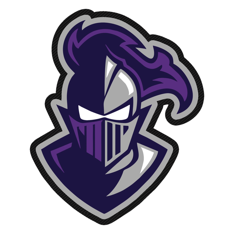 Furman Paladins - Image 1 - Carbon Fiber Vinyl Decal - Custom Size