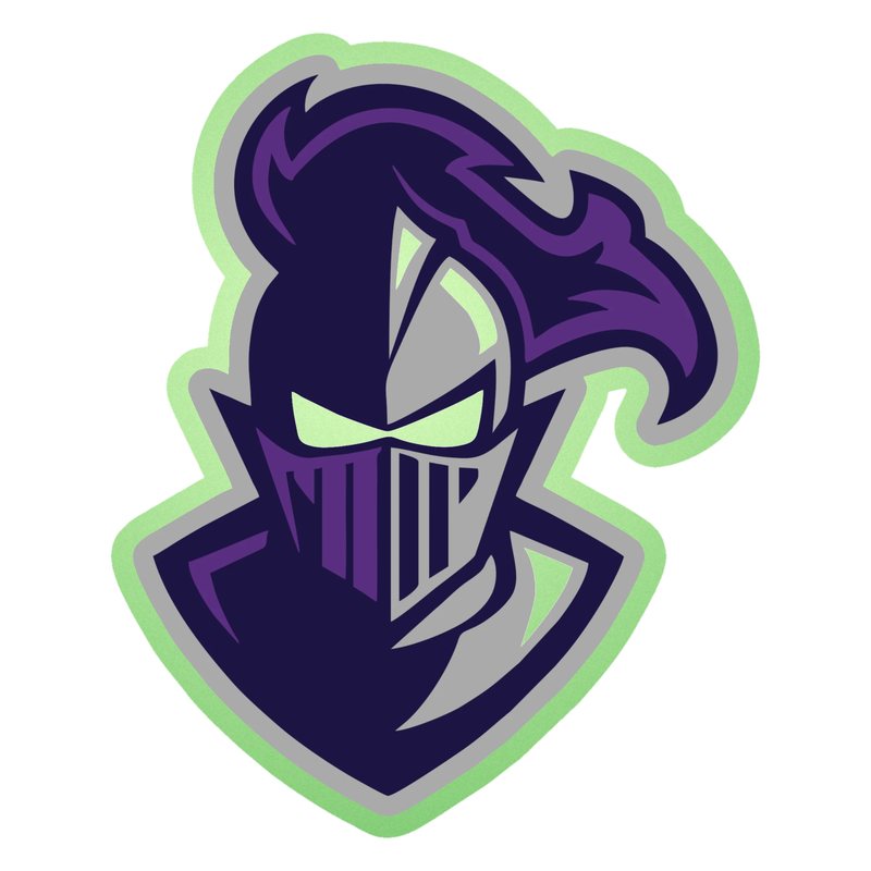 Furman Paladins - Image 1 - Glow in the Dark Vinyl Decal - Custom Size