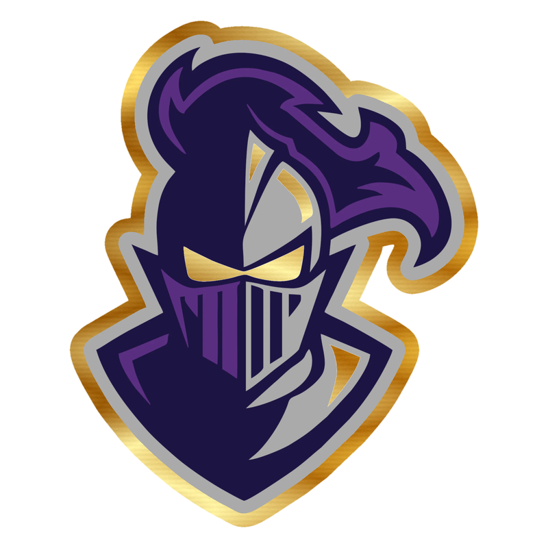 Furman Paladins - Image 1 - Gold Chrome Vinyl Decal - Custom Size