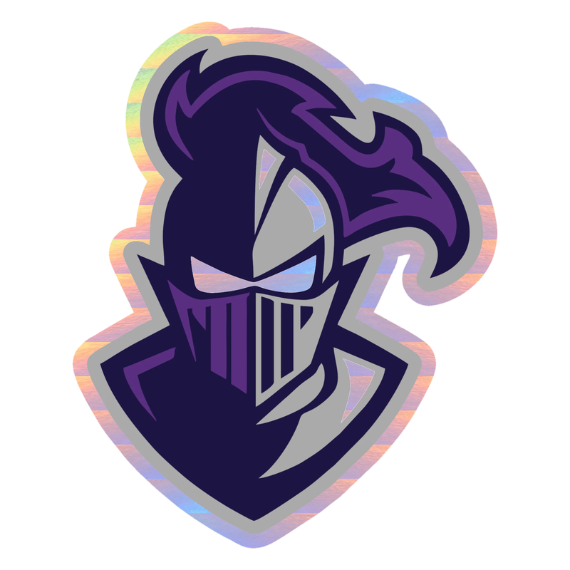 Furman Paladins - Image 1 - Holographic Vinyl Decal - Custom Size