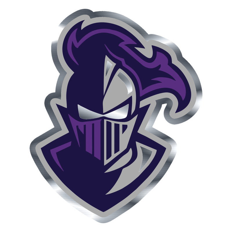 Furman Paladins - Image 1 - Silver Chrome Vinyl Decal - Custom Size