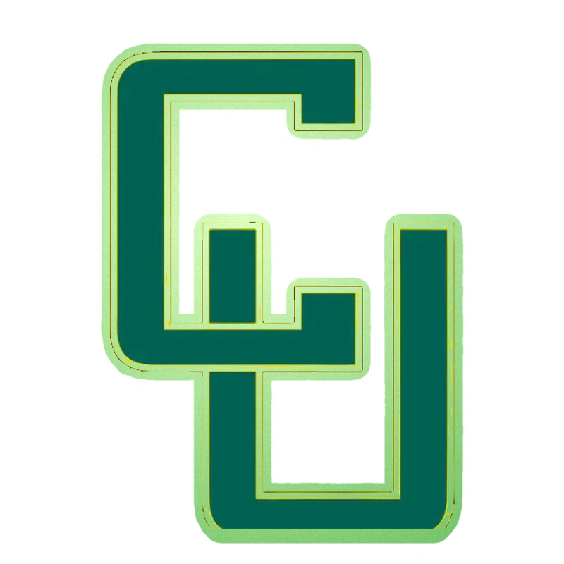 Clarkson Golden Knights - Image 2 - Glow in the Dark Vinyl Decal - Custom Size