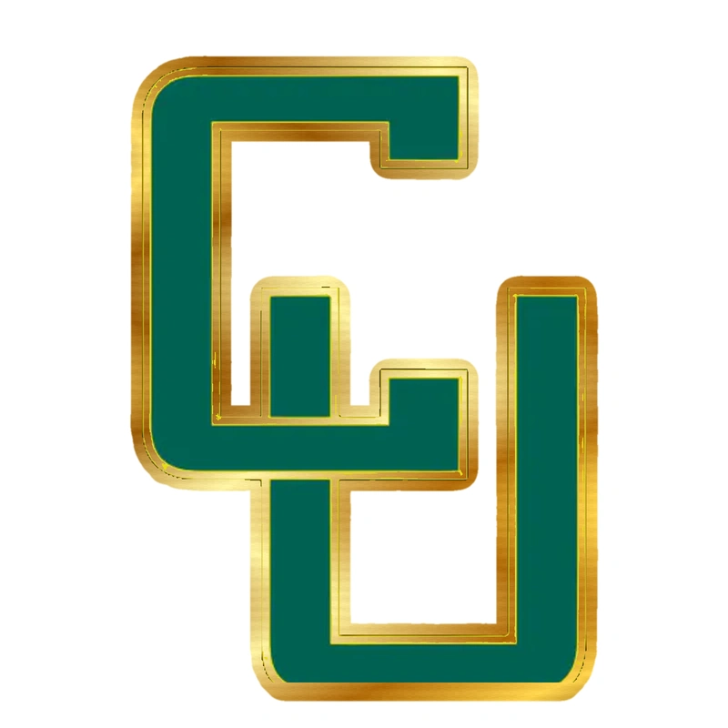 Clarkson Golden Knights - Image 2 - Gold Chrome Vinyl Decal - Custom Size