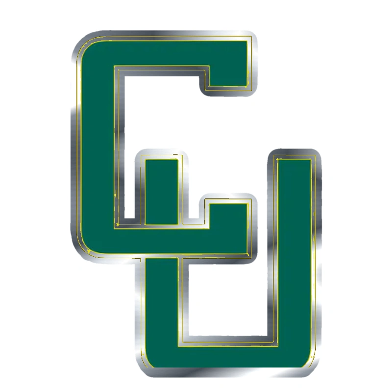 Clarkson Golden Knights - Image 2 - Silver Chrome Vinyl Decal - Custom Size