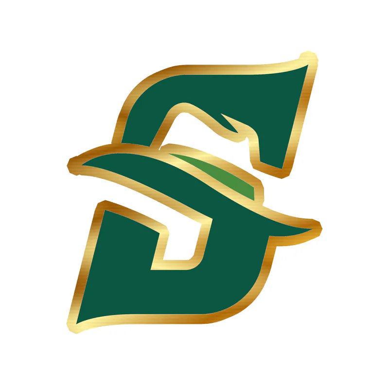 Stetson Hatters - Gold Chrome Vinyl Decal - Custom Size