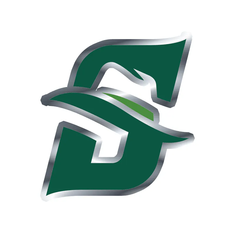 Stetson Hatters - Silver Chrome Vinyl Decal - Custom Size