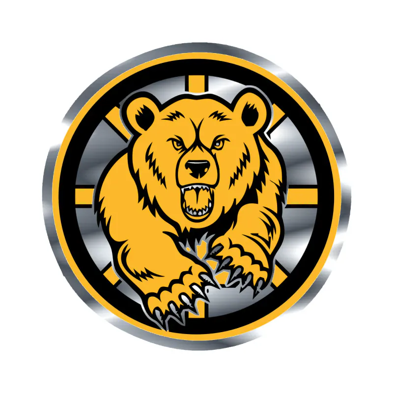 Boston Bruins - Circle With Bear- Silver Chrome Vinyl Sticker - Custom Size