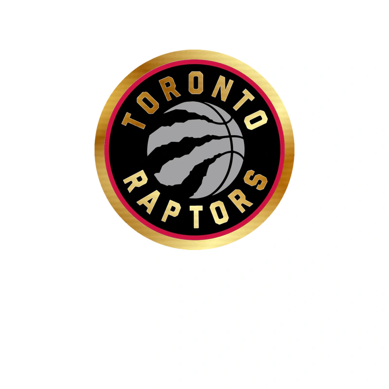 Toronto Raptors - Image 5 - Gold Chrome Vinyl Sticker - Custom Size