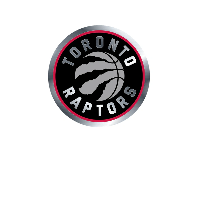 Toronto Raptors - Image 5 - Silver Chrome Vinyl Sticker - Custom Size