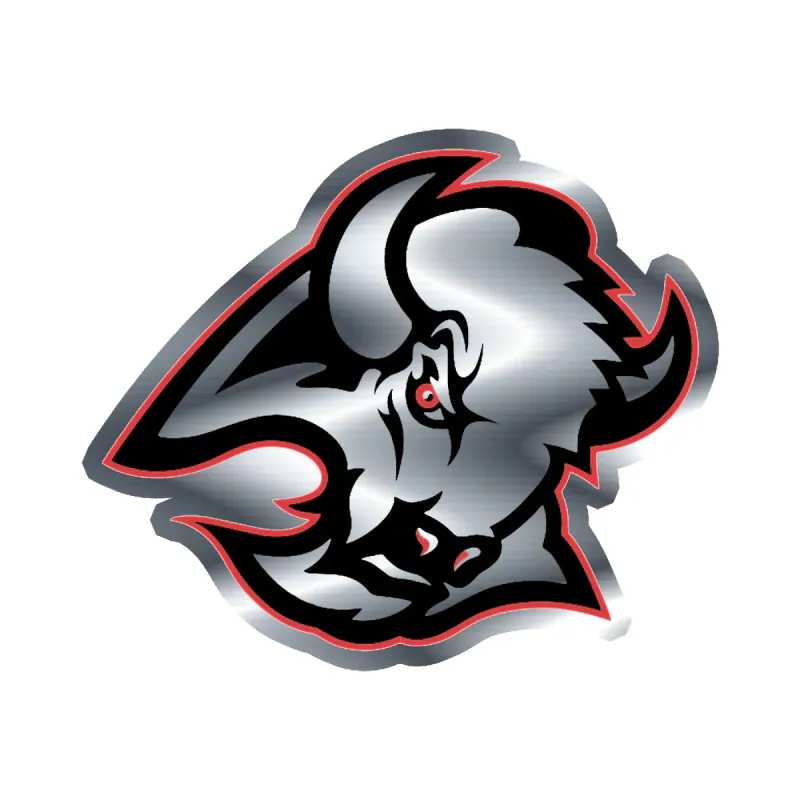 Buffalo Sabres - Retro Buffalo - Silver Chrome Vinyl Sticker - Custom Size