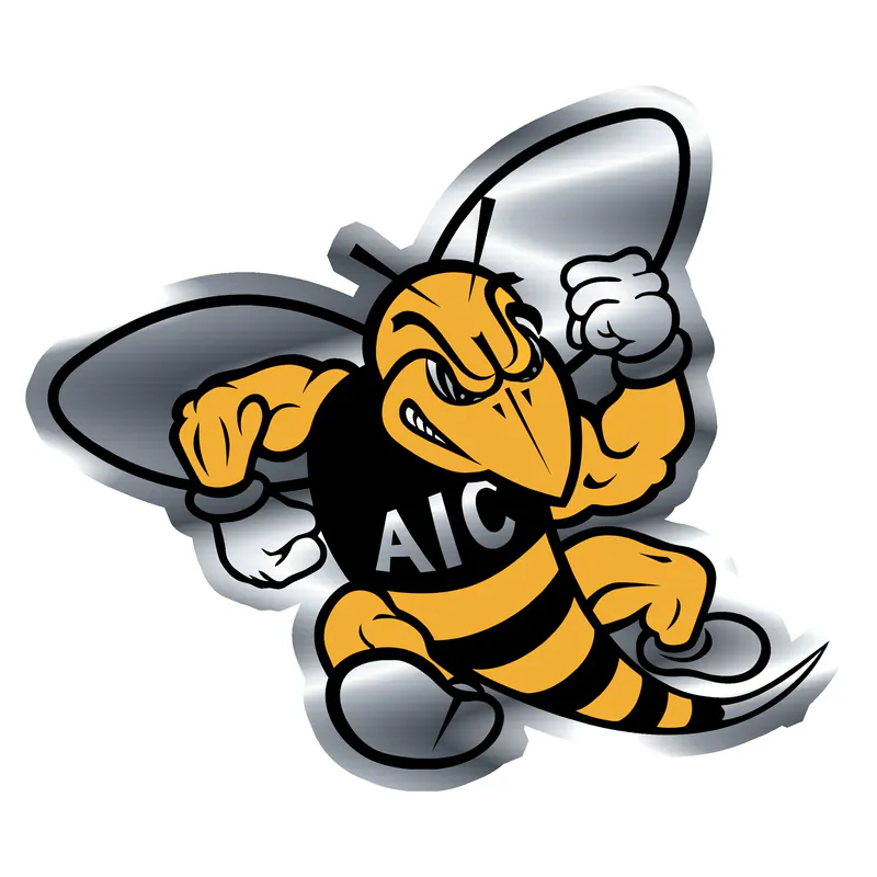 AIC Yellow Jackets Silver Chrome Vinyl Decal - Custom Size